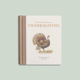 Our Little Adventure at Thanksgiving Book