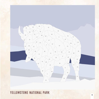 National Parks of N.America AMAZING ANIMALS Sticker Painting