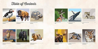 National Parks of N.America AMAZING ANIMALS Sticker Painting