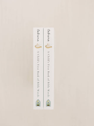 A Child's First Book of Bible Words
