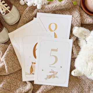 EMILY LEX STUDIO - BABY MILESTONE CARDS