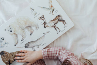 Paige Tate & Co. - Our Big Book of Animals (Board Book)
