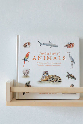 Paige Tate & Co. - Our Big Book of Animals (Board Book)