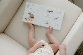 Paige Tate & Co. - Wishy Washy: A Board Book of First Words and Colors