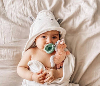 Itzy Ritzy - Sweetie Pal™ Plush & Pacifier: Skye the Moon