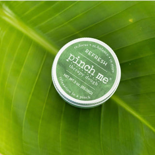 Pinch Me Therapy Dough - Pinch Me Therapy Dough Refresh