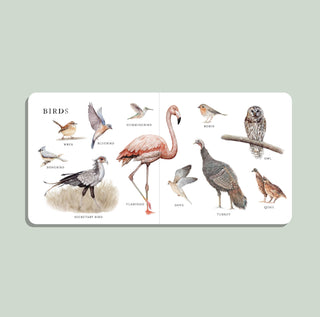 Paige Tate & Co. - Our Big Book of Animals (Board Book)