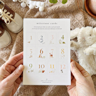 EMILY LEX STUDIO - BABY MILESTONE CARDS