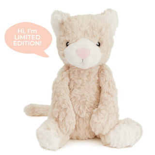 Mindful and Co Kids USA - Pickles Weighted Cat – Kids Calming Sensory Toy