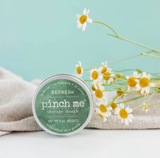 Pinch Me Therapy Dough - Pinch Me Therapy Dough Refresh
