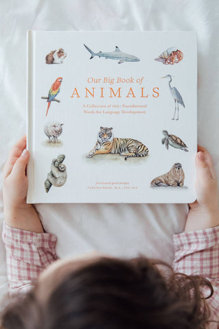 Paige Tate & Co. - Our Big Book of Animals (Board Book)