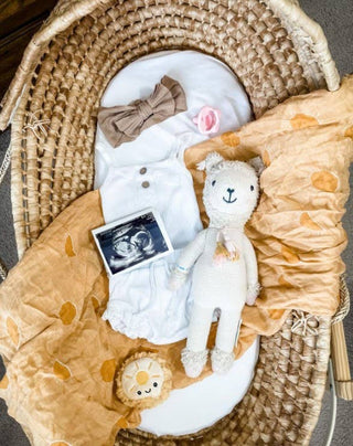 Itzy Ritzy - *NEW SIZE* Sweetie Soother™ Pacifier Sets (2-pack): Toast + Buttercream Braids