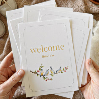 EMILY LEX STUDIO - BABY MILESTONE CARDS